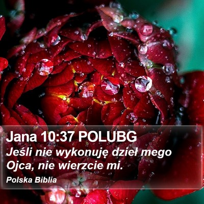 Jana 10:37 POLUBG Bible Verse Image