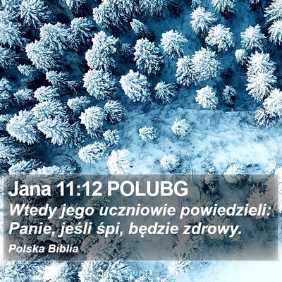 Jana 11:12 POLUBG Bible Verse Image