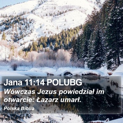 Jana 11:14 POLUBG Bible Verse Image