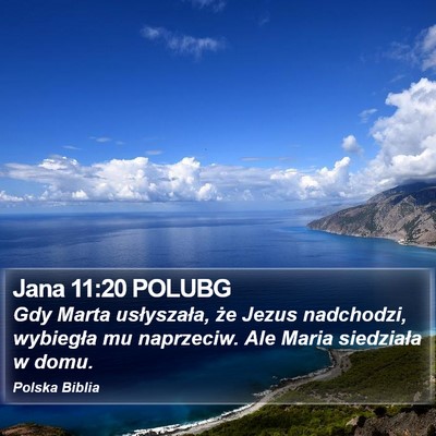 Jana 11:20 POLUBG Bible Verse Image