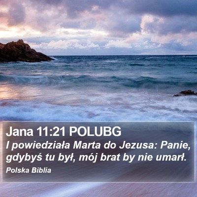 Jana 11:21 POLUBG Bible Verse Image
