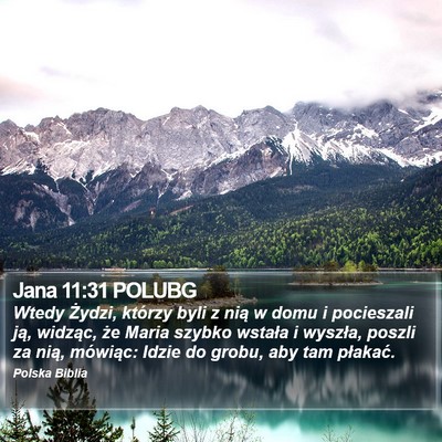Jana 11:31 POLUBG Bible Verse Image