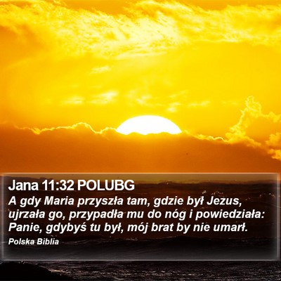 Jana 11:32 POLUBG Bible Verse Image