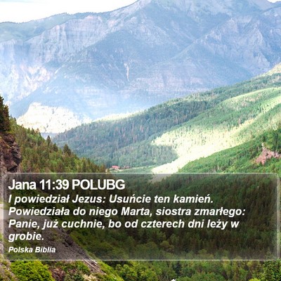 Jana 11:39 POLUBG Bible Verse Image