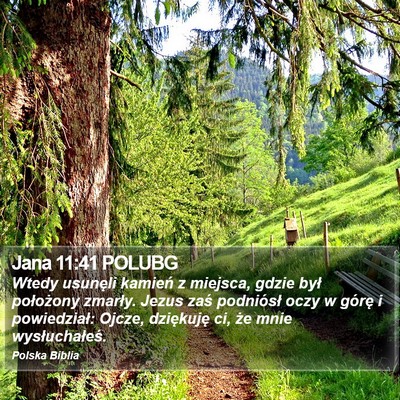 Jana 11:41 POLUBG Bible Verse Image