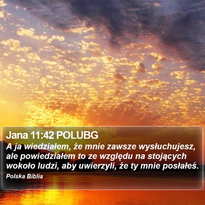 Jana 11:42 POLUBG Bible Verse Image