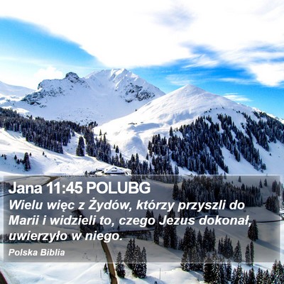 Jana 11:45 POLUBG Bible Verse Image