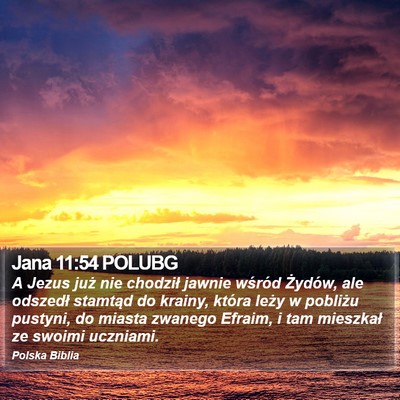 Jana 11:54 POLUBG Bible Verse Image