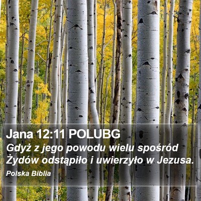 Jana 12:11 POLUBG Bible Verse Image