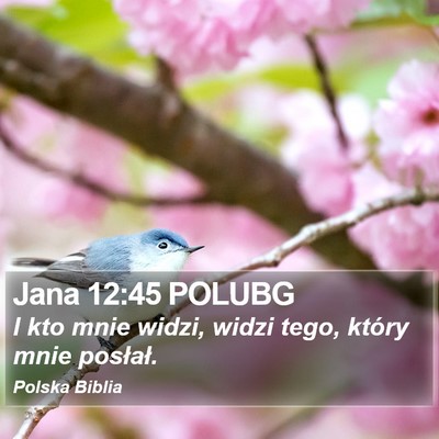 Jana 12:45 POLUBG Bible Verse Image