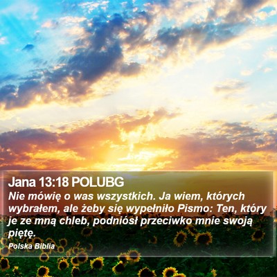 Jana 13:18 POLUBG Bible Verse Image