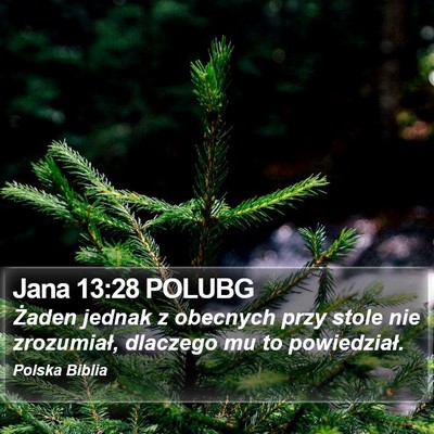 Jana 13:28 POLUBG Bible Verse Image