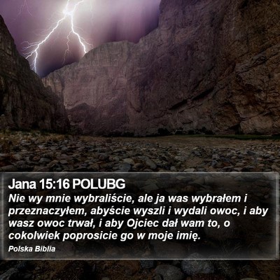 Jana 15:16 POLUBG Bible Verse Image