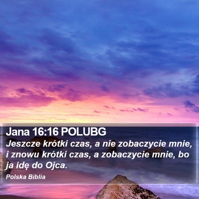 Jana 16:16 POLUBG Bible Verse Image