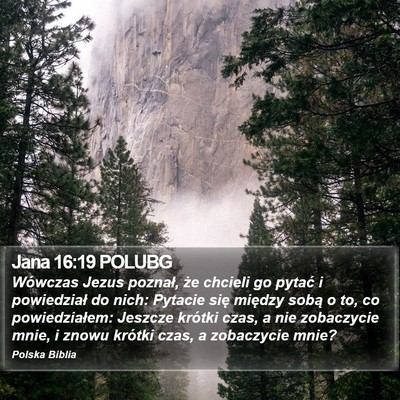 Jana 16:19 POLUBG Bible Verse Image