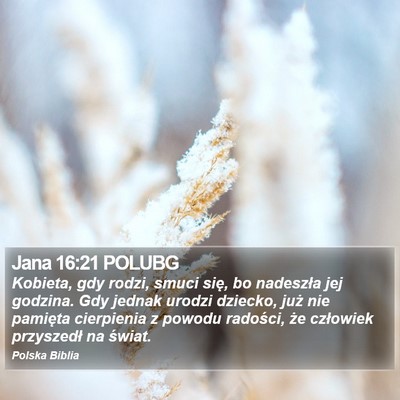 Jana 16:21 POLUBG Bible Verse Image