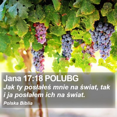 Jana 17:18 POLUBG Bible Verse Image