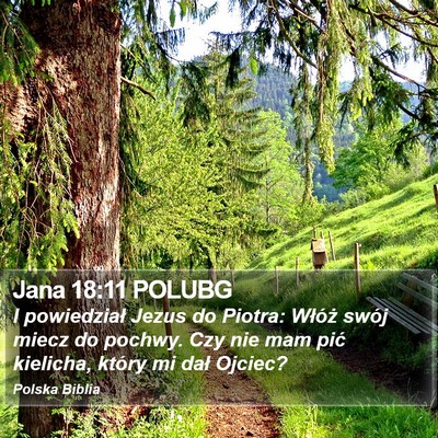 Jana 18:11 POLUBG Bible Verse Image