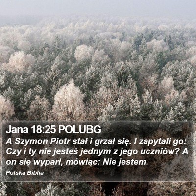 Jana 18:25 POLUBG Bible Verse Image