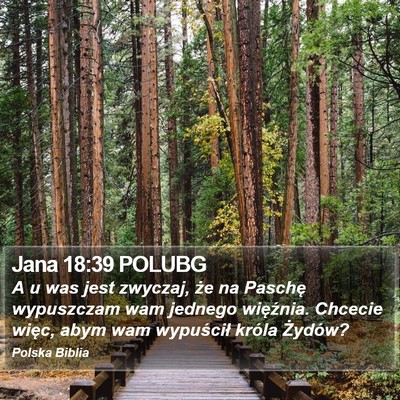 Jana 18:39 POLUBG Bible Verse Image