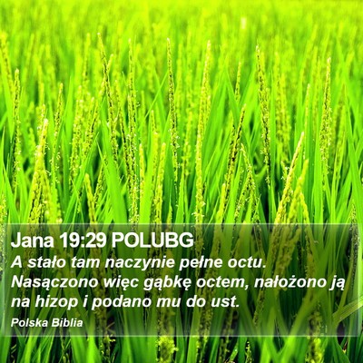 Jana 19:29 POLUBG Bible Verse Image