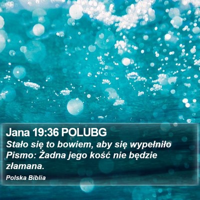 Jana 19:36 POLUBG Bible Verse Image
