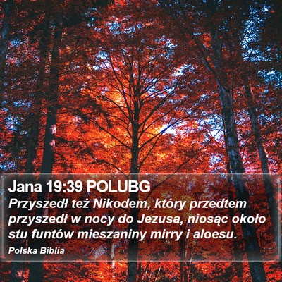 Jana 19:39 POLUBG Bible Verse Image
