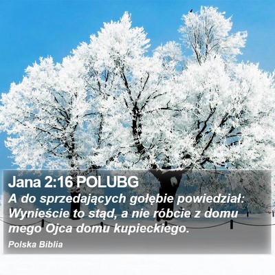 Jana 2:16 POLUBG Bible Verse Image