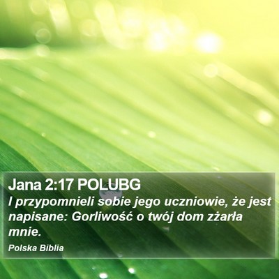 Jana 2:17 POLUBG Bible Verse Image
