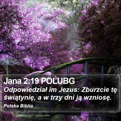 Jana 2:19 POLUBG Bible Verse Image