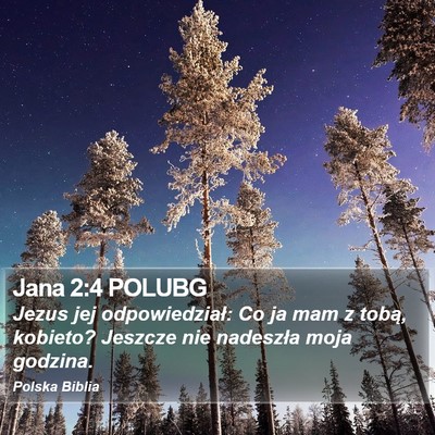 Jana 2:4 POLUBG Bible Verse Image