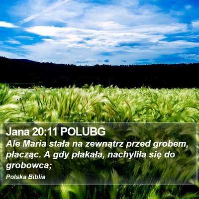 Jana 20:11 POLUBG Bible Verse Image