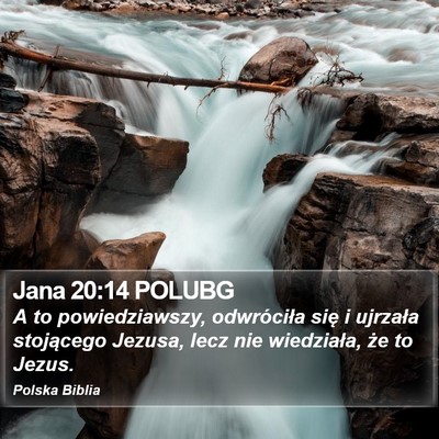 Jana 20:14 POLUBG Bible Verse Image