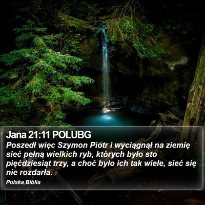 Jana 21:11 POLUBG Bible Verse Image