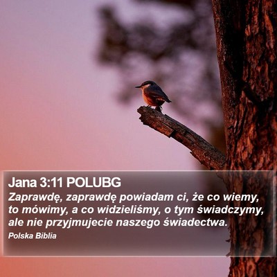 Jana 3:11 POLUBG Bible Verse Image
