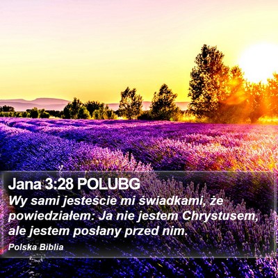Jana 3:28 POLUBG Bible Verse Image