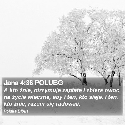 Jana 4:36 POLUBG Bible Verse Image