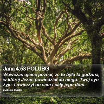 Jana 4:53 POLUBG Bible Verse Image
