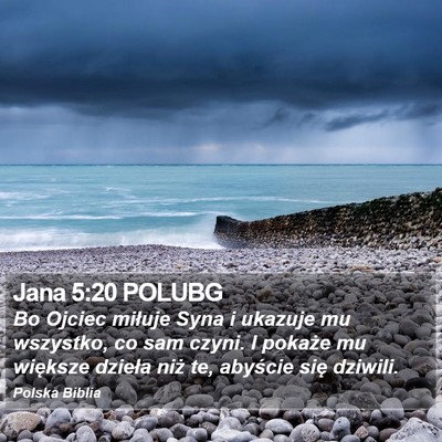 Jana 5:20 POLUBG Bible Verse Image
