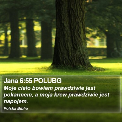 Jana 6:55 POLUBG Bible Verse Image