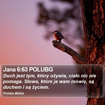 Jana 6:63 POLUBG Bible Verse Image