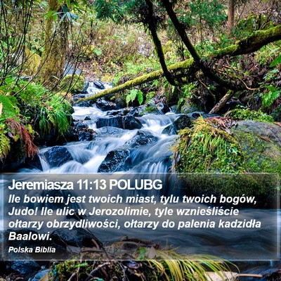 Jeremiasza 11:13 POLUBG Bible Verse Image