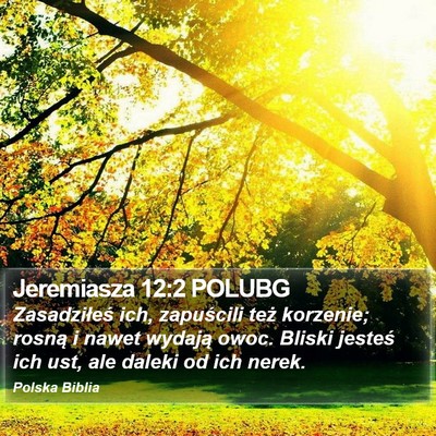 Jeremiasza 12:2 POLUBG Bible Verse Image