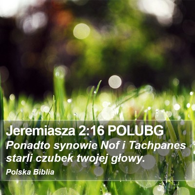 Jeremiasza 2:16 POLUBG Bible Verse Image