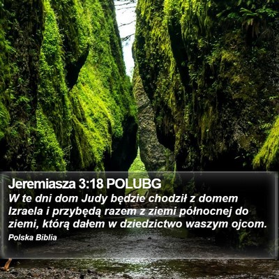 Jeremiasza 3:18 POLUBG Bible Verse Image