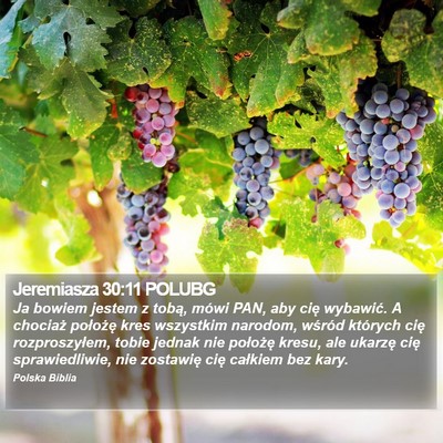 Jeremiasza 30:11 POLUBG Bible Verse Image