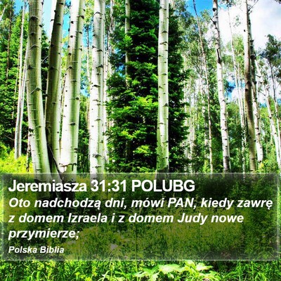 Jeremiasza 31:31 POLUBG Bible Verse Image
