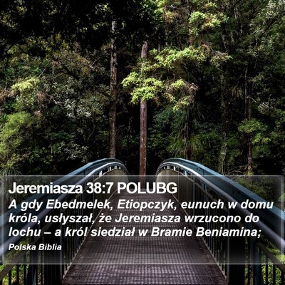Jeremiasza 38:7 POLUBG Bible Verse Image