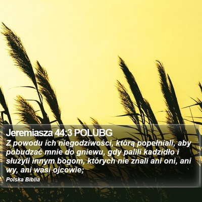Jeremiasza 44:3 POLUBG Bible Verse Image