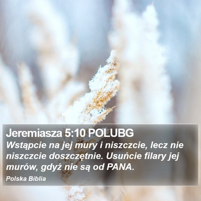 Jeremiasza 5:10 POLUBG Bible Verse Image